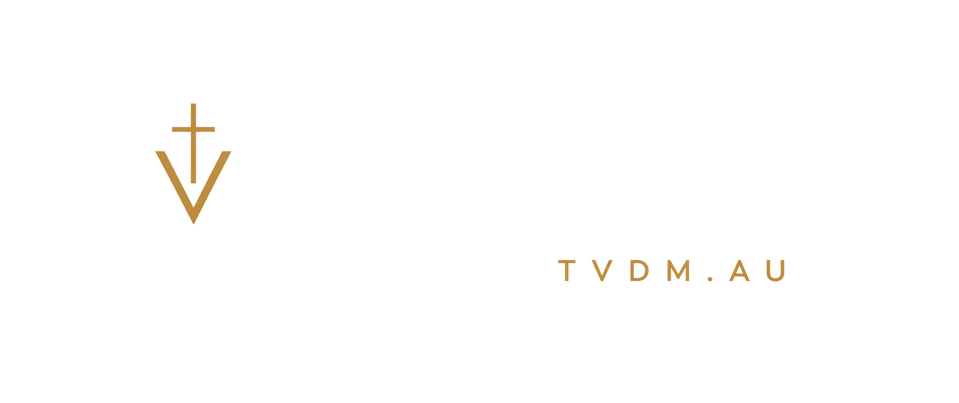 True Vine Digital Marketing